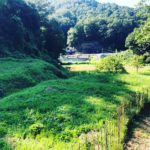 好きに生きてみよう