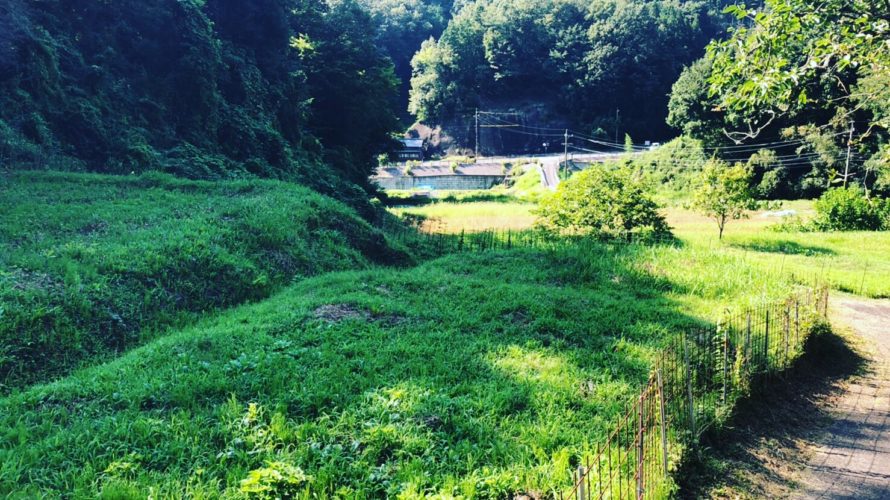 好きに生きてみよう